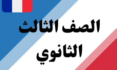 مصغرة الدورة
