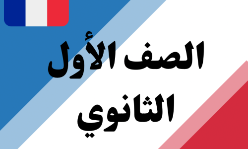 مصغرة الدورة