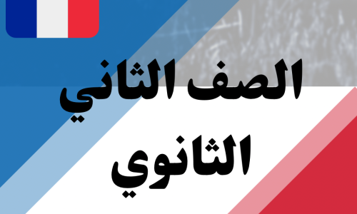 مصغرة الدورة