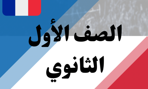 مصغرة الدورة