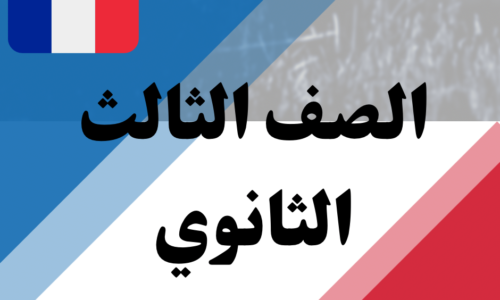 الصورة المصغرة للدورة